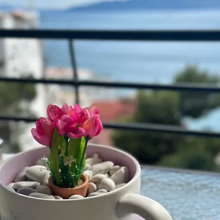 Lovely Seaview *